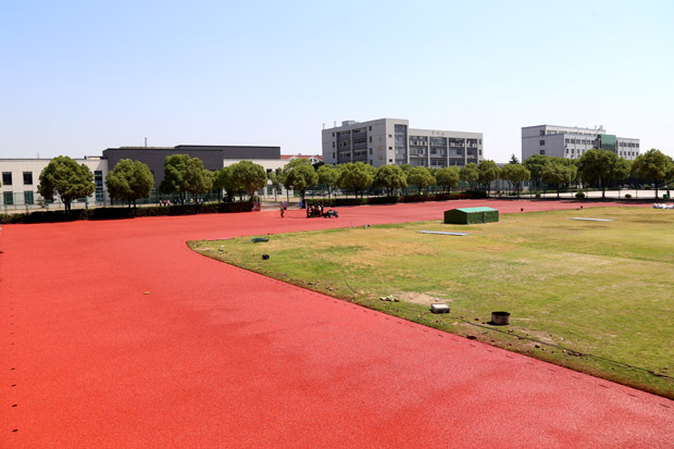 IMG_2572.JPG